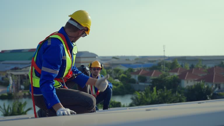 Best Rubber Roofing (EPDM, TPO)  in Laupahoehoe, HI