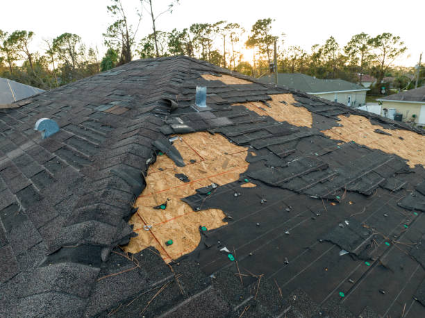 Best Roof Maintenance and Cleaning  in Laupahoehoe, HI